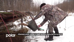 Přikrmování zvěře v zimě patří k úkolům myslivců. Přidávají i lék proti střečkům