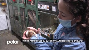 Adopcí zvířátka přispějete jemu i stanici přírodovědců Střediska volného času