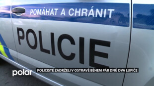 Ostravská policie čistí ulice. Další dva lupiči skončili za mřížemi