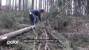 Jablunkovští omlazují Městský les nad dřevěným městečkem