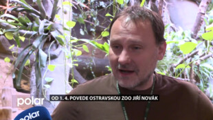 Novým ředitelem ostravské ZOO bude Jiří Novák. Doposud vedl zoologické oddělení