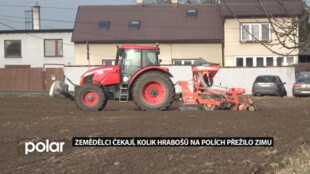 Zemědělci čekají, kolik loni přemnožených hrabošů na polích přežilo zimu