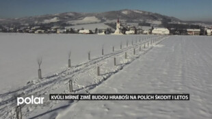 Zemědělci doufají, že letošní zima bude mít vliv na přemnožené hraboše