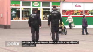 Městská policie Studénka loni řešila o desítky případů více než o rok dříve