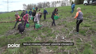 Školáci z Palkovic při výuce o přírodě pomohli s výsadbou vánočních stromků