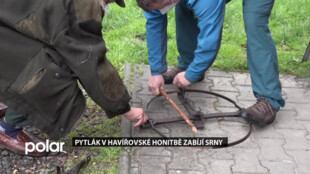 Havířovským myslivcům řádí v revíru pytlák, který bezcitně zabíjí zvěř