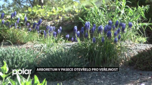 Arboretum v Pasece u Rýmařova je v plném květu, díky rozvolnění otevřelo i pro veřejnost