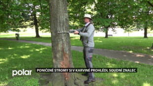 Poničené stromy v Karviné-Novém Městě si prohlédl soudní znalec