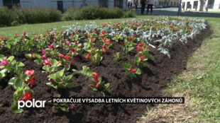 Ve Frýdku-Místku pokračuje výsadba letních květin a záhonů