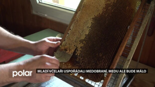 Mladí včelaři z kroužku Ambrožíci uspořádali medobraní, medu ale bude málo