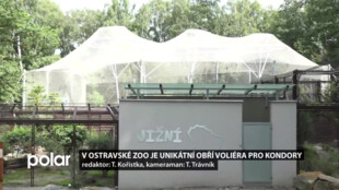 V ostravské ZOO je unikátní obří voliéra pro kondory. Uchází se o titul Stavba roku 2021