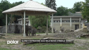 Sloni v ostravské zoo se mají kam schovat. Před sluncem je chrání velký altán