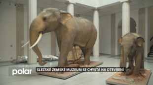 Exponáty se stěhují zpět do Slezského zemského muzea. Výměnu oken přečkaly v depozitáři