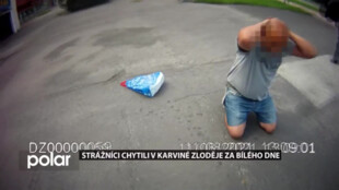 Strážníci chytili v Karviné zloděje, který chtěl za bílého dne okrást prodavačku oděvů