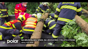 Na Bruntálsku spadl na cyklistu za jízdy strom. V bezvědomí byl transportován do nemocnice