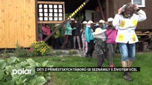 Děti z příměstských táborů se seznámily s životem včel