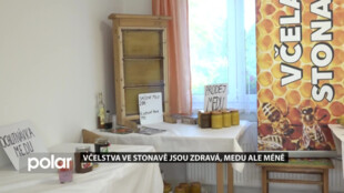 Včelstva ve Stonavě jsou zdravá, medu je ale méně