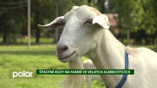 EKO MAGAZÍN: Šťastné kozy na farmě ve Velkých Albrechticích