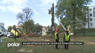 Kolem Baziliky ve Frýdku-Místku se kácejí stromy ve špatném stavu