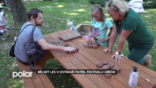 Festival dřeva v Bělském lese nabídl ukázky techniky, workshop i jarmark řemesel