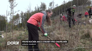 Na Ondřejníku sadili stromy. Kůrovec tam zničil více jak polovinu lesů