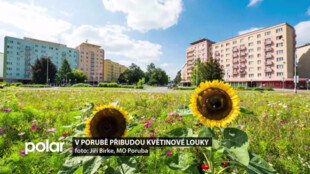 Květinová louka u Francouzské ulice se stala jedním z nejfotografovanějších míst Poruby