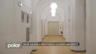 Nová galerie s názvem Hauerova 4 v prostorách Slezské univerzity
