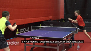 V NTC stolního tenisu v Havířově trénuje evropská špička mládeže