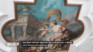 Dalšího Veitha objevili na stropě soukromé vily v Brně
