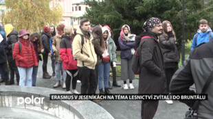 Mladí lidé ze 6 zemí Evropy se v Jeseníkách věnovali lesnictví, čistili lesy a sázeli stromy