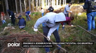 Mladí lidé ze 6 zemí Evropy se v Jeseníkách věnovali lesnictví, čistili lesy a sázeli stromy