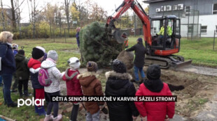 V Karviné sázeli děti a senioři společně solitérní borovice