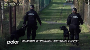 Strážníci MP Ostrava začali s kontrolami chatovišť. Využívaní jsou koně i služební psi