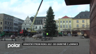 Na bruntálském náměstí byl usazen letošní vánoční strom, Jedle stejnobarevná