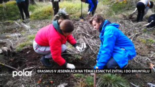 Lesnictví a péče o zeleň bylo tématem pobytu mladých lidí z celé Evropy v programu Erasmus