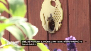 Jih Ostravy bude mít vlastní med. Mezi 7 vítěznými projekty participativního rozpočtu jsou i včelí úly