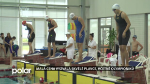 Malá cena vyzvala skvělé plavce, včetně českých olympioniků