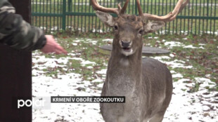 Krmení zvířat v karvinském zookoutku má svá pravidla, dodržujte je