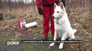 U Karvinského moře se konal výcvik záchranářských psů Záchranné brigády kynologů MSK