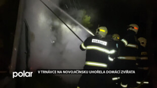V Trnávce uhořela domácí zvířata. Oheň ve stodole zavinila technická závada