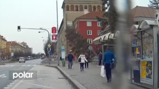 VIDEO: Obrovské štěstí měli lidé v centru Havířova, kde se na přechod pro chodce vyvrátil strom