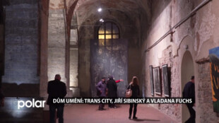 Dům umění v Opavě: Trans City, Jiří Sibinský a Vladana Fuchs