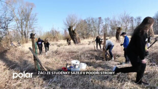 BEZ KOMENTÁŘE: Žáci ze Základní školy Františka kardinála Tomáška pomáhali sázet stromy