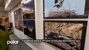 V Havířově začala největší výstava fotoklubů REGIONFOTO 2022