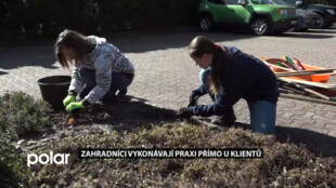 STUDUJ U NÁS: Zahradníci z Ostravy vykonávají praxi u klientů