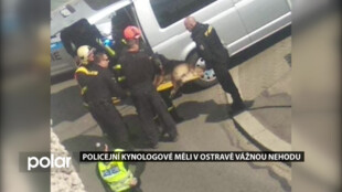 Policejní kynologové měli v Ostravě vážnou nehodu. Případem se zabývá GIBS