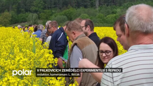 Farmáři z Palkovic experimentují s řepkou, na poli vysadili 17 odrůd