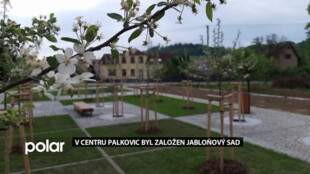 V centru Palkovic byl založen sad z okrasných jabloní, lidé ocení stín, ptáci jablíčka
