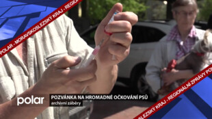 Ve Stonavě proběhne hromadné očkování psů