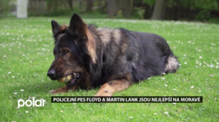 Policejní pes Floyd a Martin Lank jsou nejlepší na Moravě